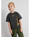 Футболка детская для мальчиков Brownie темно-серый