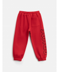 Брюки детские для мальчиков Pseudis_pt красный