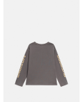 Джемпер детский для мальчиков Stollen серо-коричневый