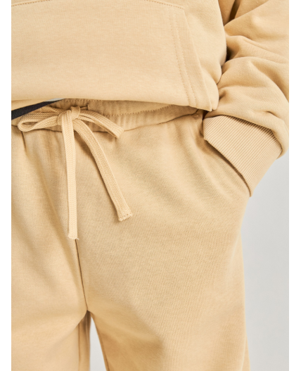 Брюки детские для мальчиков Zefir_pt светло-серый принт