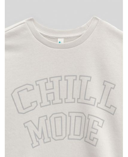 Джемпер детский для мальчиков Horrigan_sw светло-серый