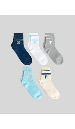 Носки муж. в наборе из 5 пар Luvironza разноцветный