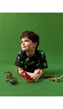 Футболка детская для мальчиков Ballarat насыщенный серый