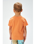 Футболка детская для мальчиков Havel оранжевый