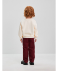 Джемпер детский для мальчиков Roncal молочный