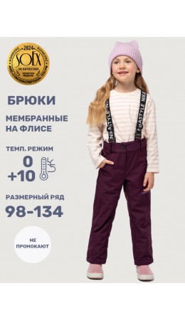 Брюки 2л3825 вишня