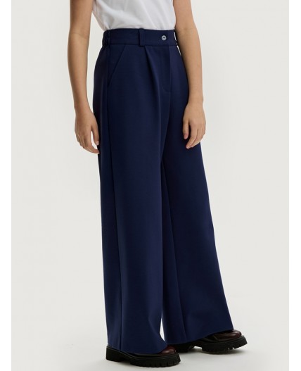 Брюки 2ш20625 синий