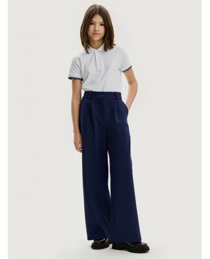 Брюки 2ш20625 синий