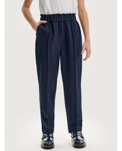 Брюки 2ш20825 синий