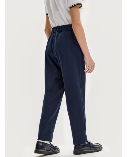 Брюки 2ш20825 синий