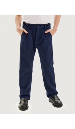 Брюки 2ш20925 синий