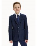 Пиджак 4ш20325 синяя клетка