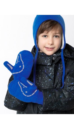 Варежки 14з17025 электрик