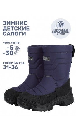 Сапоги 16з30125 слива