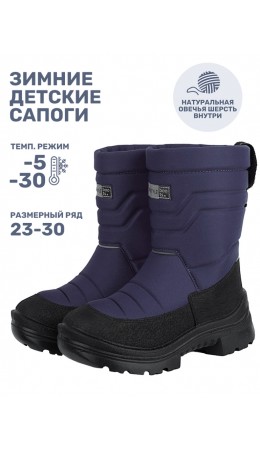 Сапоги 16з30025 слива