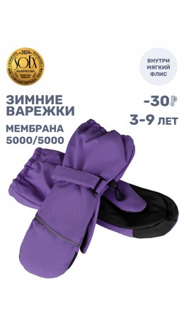 Варежки 14з17425 сирень