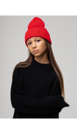 Шапка 10-348MU; красный