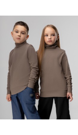 Водолазка 7-228МU; коричневый