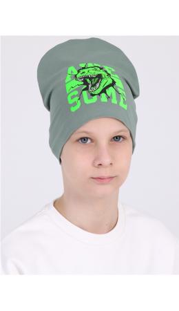 шапочка 1ПГШ4319804; серо-зеленый113 / Рычащий динозавр неон