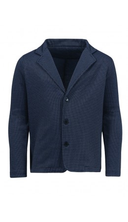 пиджак 1ПДИД4234176; ячейки черный+голубой