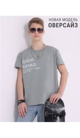футболка 1ПДФК4518001; серый261 / Великий гений