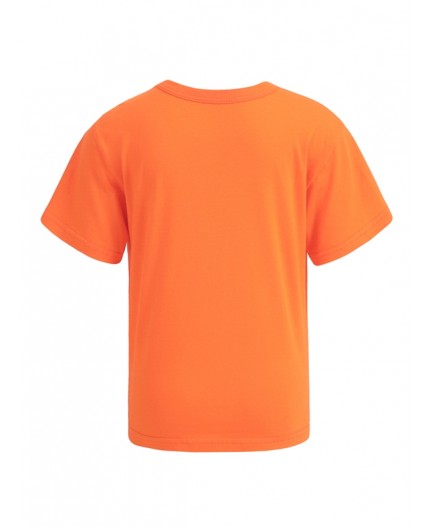 футболка 1ПДФК4331001; оранжевый9 / Яркий медведь