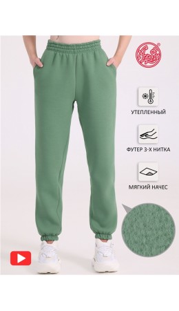 брюки 1ЖББ4384338; зеленый263
