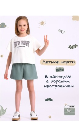 шорты 1ДШК4749258; серо-зеленый113