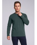 CLE джемпер муж. 600374/2гг, т.зелёный
