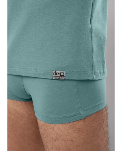 CLE MF608311 Фуфайка муж модал, св.зелёный