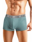 CLE MH608313 Трусы муж. Модал, св.зелёный