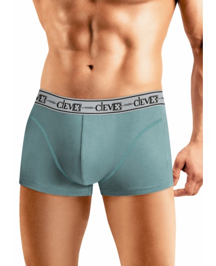 CLE MH608313 Трусы муж. Модал, св.зелёный