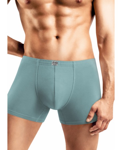 CLE MSH608311 Трусы муж. Модал, св.зелёный