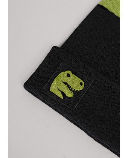 CLE Шапка дет. 554332ха, чёрный/салатовый