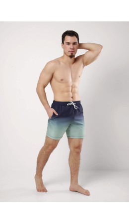 CLE шорты муж. 553149рт, т.серый/св.зелёный