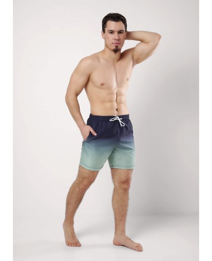 CLE шорты муж. 553149рт, т.серый/св.зелёный