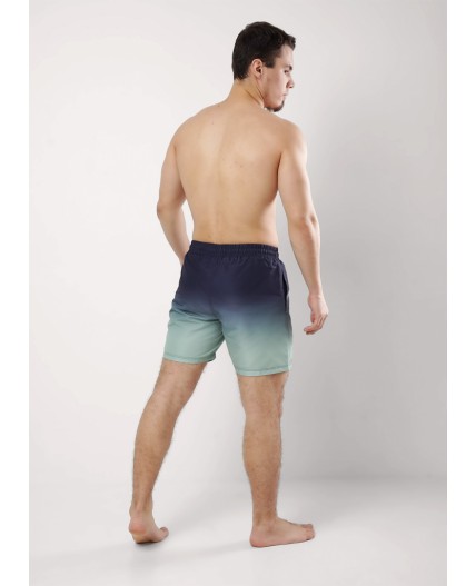 CLE шорты муж. 553149рт, т.серый/св.зелёный