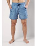 CLE шорты муж 533691рт, джинсовый/т.синий
