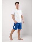 CLE шорты муж 533797рт, синий/т.синий
