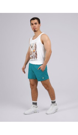 CLE шорты муж 523690рт, бирюзовый