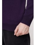 CLE Джемпер муж. 654350ха, т.фиолетовый