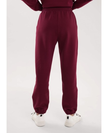 CLE LTR15-100 Брюки жен., т.бордовый