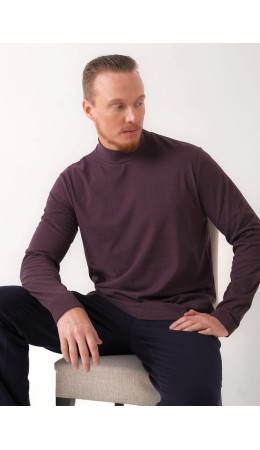 CLE Джемпер муж. 452620/07р, бордовый/т.бордовый