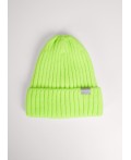CLE Шапка дет. 423519ап флис, салатовый