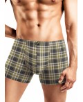CLE MSH450411 Трусы муж., зелёный/коричневый
