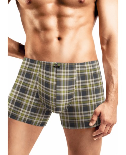 CLE MSH450411 Трусы муж., зелёный/коричневый