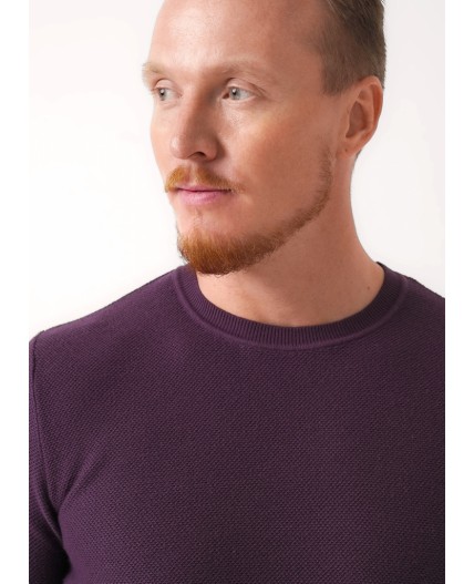 CLE Джемпер муж. 454566/11ха, т.фиолетовый
