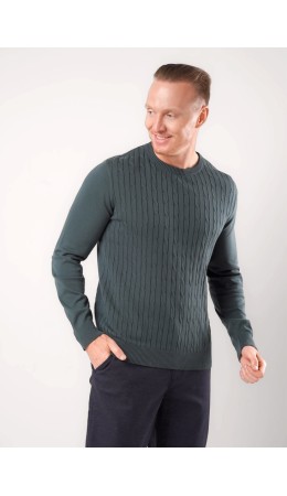CLE Джемпер муж. 454556/15ха, зелёный