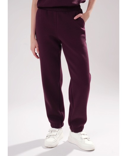 CLE LTR15-106 Брюки жен., т.бордовый