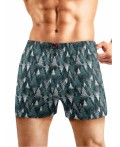 CLE MBX451241 Трусы муж., т.бирюзовый/белый